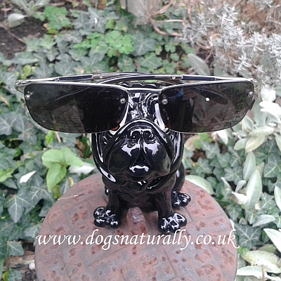 Black Pug Glasses Holder (Precious)